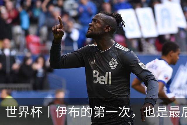 世界杯丨伊布的第一次，也是最后一次