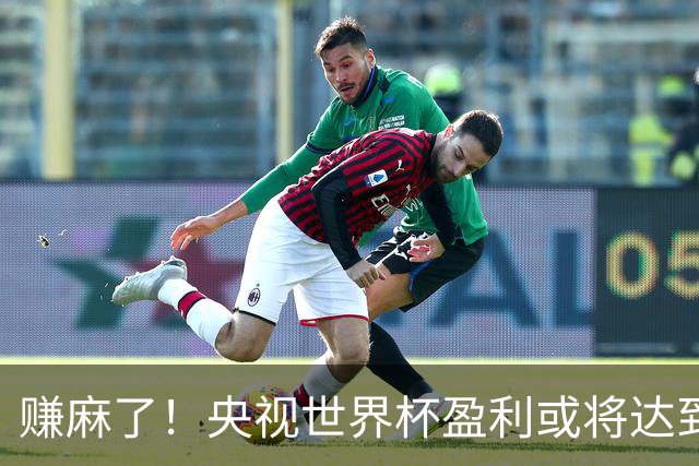 赚麻了！央视世界杯盈利或将达到50-60亿元人民币