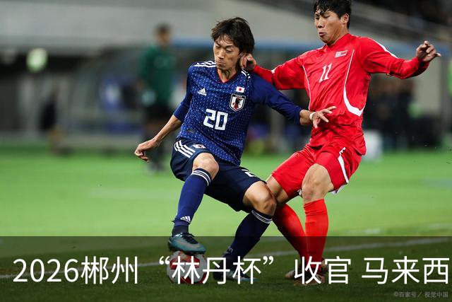 2026郴州“林丹杯”收官 马来西亚选手詹俊为男单夺冠